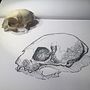 My project in Daily Sketching for Creative Inspiration course Ein Projekt aus dem Bereich Traditionelle Illustration, Skizzenentwurf, Kreativität, Zeichnung und Sketchbook von Nina Lehdorfer - 02.07.2021