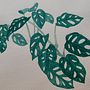 Monstera adansonii. Watercolor Painting project by Monalisa Teixeira - 07.20.2021