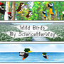 Staxel Mod | Wild Birds . Video Game proyek oleh Erica Wagner - 03.13.2018