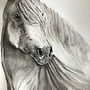Expressive animal portrait. Un progetto di Illustrazione tradizionale di Fergal McGreevy - 10.08.2021