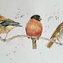 My project in Artistic Watercolor Techniques for Illustrating Birds course. Un proyecto de Ilustración tradicional, Pintura a la acuarela, Dibujo realista e Ilustración naturalista				 de Dave Scanlon - 14.08.2021