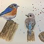 My project in Artistic Watercolor Techniques for Illustrating Birds course. Un progetto di Illustrazione tradizionale, Pittura ad acquerello, Disegno realistico e Illustrazione naturalistica di debbiemc - 30.08.2021