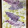 My project in Illustrating Nature: A Creative Exploration course. Un projet de Illustration traditionnelle, Peinture, Dessin, Aquarelle, Illustration à l'encre et Illustration naturaliste de marion_esmekramer - 12.09.2021