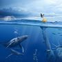 Underwater liberty . % julien_monty tarafından hazırlanan Fotoğrafçılık, Kolaj, Fotoğraf Rötuşlama, Güzel Sanatlar Fotoğrafçılığı, Fotoğrafik Kompozis, on, Ve Fotomontaj projesi - 09.24.2021