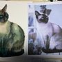 My project in Expressive Animal Portraits in Watercolor course. Een project van Traditionele illustratie, Aquarelschilderen, Realistische tekening y Naturalistische illustratie van Penelope Merke - 30.10.2021