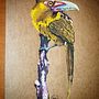 Meu projeto do curso: Ilustração naturalista de aves com aquarela . % Werneck Castro tarafından hazırlanan Geleneksel illüstras, on, Sulubo, a Resim, Gerçekçi Çizim, Doğalcı İllüstras, Ve on projesi - 11.04.2021