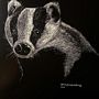 Mi Proyecto del Curso: Ilustración naturalista con scratchboard . Desen, Ilustrație tradițională & Ilustrație naturalistă de Guillermo García-Saúco Sánchez - 11.04.2021