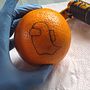 Meu projeto do curso: Tatuagem para principiantes. Un projet de Conception de tatouage de Pamela de Oliveira Küthe Aguiar - 09.11.2021