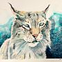 My project in Expressive Animal Portraits in Watercolor course. Un progetto di Illustrazione tradizionale, Pittura ad acquerello, Disegno realistico e Illustrazione naturalistica di Marianne Elvan Barfoed - 21.11.2021