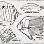 Coloring Page Fish Drawing . Un projet de Dessin et Illustration traditionnelle de Rebecca B - 04.01.2022