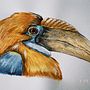 Mi Proyecto del curso: Ilustración naturalista de aves con acuarela. Een project van Traditionele illustratie, Aquarelschilderen, Realistische tekening y Naturalistische illustratie van Julián Andrés Carvajal Zapata - 22.01.2022