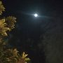 La Elección . Un proyecto de Escritura, Storytelling, Narrativa, Escritura de ficción y Escritura creativa de diossalu - 18.02.2022