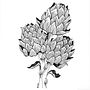 Artichoke - Engraving style. Un progetto di Illustrazione tradizionale di lepinink - 05.03.2022