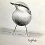 Mi Proyecto del curso: Acuarela artística para ilustración de aves . Ilustrasi tradisional, Lukisan Cat Air, Gambar Realistis & Ilustrasi Naturalistik proyek oleh Lleysa Mesa - 03.11.2022