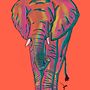 Sombras de un Elefante. Un progetto di Illustrazione tradizionale, Design e Fotografia di David Nazariego - 15.03.2022