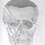 My project for course: Figure Drawing: The Human Head. Un proyecto de Bellas Artes, Dibujo a lápiz, Dibujo, Dibujo de Retrato, Dibujo realista y Dibujo anatómico de Gabriela Quiñonez - 22.03.2022