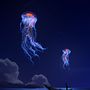 Mein Kursprojekt: Magische Fotomontage in Photoshop: Gestalte visuelle Metaphern Ein Projekt aus dem Bereich Bildbearbeitung, Fotoretuschierung, Digitalfotografie, Fotografische Komposition und Fotomontage von Simone Mairhofer - 01.06.2022
