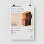 Diseñando la marca y plataforma digital del escultor Michel Ruiz. Design, UX / UI, Branding, Identity, Fine Arts, Sculpture, Web Design, and Copywriting project by POSITIVO - 06.20.2022