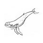 ballena. Un proyecto de Ilustración tradicional de Flavia Oronoz - 19.07.2022