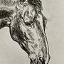 My project for course: Daily Sketching for Creative Inspiration. Un progetto di Illustrazione tradizionale, Bozzetti, Creatività, Disegno e Sketchbook di sophiewalla14 - 27.08.2022