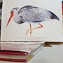 expressive watercolour bird. Un proyecto de Bellas Artes de judith_blades - 01.09.2022