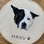 Mi proyecto del curso: Needle painting para principiantes. Een project van Borduurwerk, Naturalistische illustratie y Textielontwerp van ariela_hairdresser - 28.08.2022
