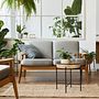 My project for course: Interior Design for Beginners: Decorating with Plants. Un progetto di Interior design, Paesaggismo, Interior Design, Interior Design, DIY, Design floreale e vegetale e Progettazione dello spazio di gorkemdenir - 02.09.2022