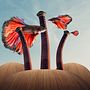 TRANSFORMACIONES LIBRES. Un progetto di Design e Design interattivo di Naomi Karina Odagawa Aragon - 12.09.2022