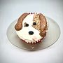 My project for course: Cupcake Decoration: Edible Art with Buttercream. DIY project by Leslie Kuba - 10.10.2022