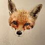 Mr Fox. Een project van Traditionele illustratie, Aquarelschilderen, Realistische tekening y Naturalistische illustratie van Suzie Duncan - 29.10.2022