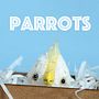 Parrots by ABCbears 2016. Character Design, Toy Design, Pattern Design, and Art Toys project by Svetlana Sycheva - 09.10.2016