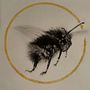 My project on the bee. I applied glitter instead of goldleaf.. Traditional illustration, Painting, and Naturalistic Illustration project by marc matoul - 11.17.2022