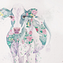 Buttercup. Un proyecto de Pintura a la acuarela de Molly Pickering - 20.11.2022