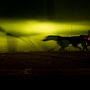 FARI NELLA NOTTE . Un proyecto de Fotografía de Annalisa Mascolo - 06.10.2022