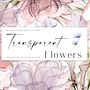 Watercolor transparent Flowers . Een project van Traditionele illustratie,  Beeldende kunst, Schilderij, Patroonontwerp, Posterontwerp, Aquarelschilderen,  Concept art, Realistische tekening,  Botanische illustratie y Bloem- en plantenschikken van Olga Koelsch - 14.12.2022