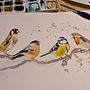 Mein Abschlussprojekt für den Kurs: Illustriere Vögel mit expressiven Aquarelltechniken . Ilustrație tradițională, Pictură în acuarelă, Desen realist & Ilustrație naturalistă de Kerstin Haußdörfer - 01.01.2023
