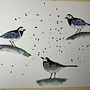 My project for course: Artistic Watercolor Techniques for Illustrating Birds. Een project van Traditionele illustratie, Aquarelschilderen, Realistische tekening y Naturalistische illustratie van jcspender - 18.01.2023