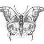 Mariposa Calavera. Desenho a lápis projeto de Ezequiel Garcia - 10.04.2021