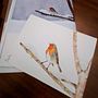 Pettirosso: illustrazione naturalistica acquerello . Drawing, Traditional illustration, Watercolor Painting, and Naturalistic Illustration project by sorelle_mason - 01.25.2023