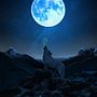 LA LUZ DEL LOBO . Photograph, Photograph, Post-production, VFX, Photo Retouching, Fine-Art Photograph, Photographic Composition, and Photomontage project by Carlos Designer - 02.09.2023