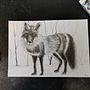 Abschlussprojekt. Traditional illustration, Fine Arts, and Pencil Drawing project by tajabe - 02.24.2023