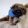 Bullmastiff Puppy. Projekt z dziedziny Dziewiarstwo Ręczne użytkownika handknithugs - 25.02.2023