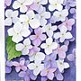 My project for course: Negative Watercolor Painting for Botanical Illustration . Ilustrasi tradisional, Lukisan Cat Air & Ilustrasi Botani proyek oleh Monika Davidová - 02.26.2023