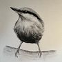 Tiny Bird, Charcoal Project for Tonal Value . % Jordan tarafından hazırlanan Sulubo, Ve a Resim projesi - 02.25.2023
