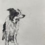 My project for course: Animal Illustration with Charcoal and Ink. Een project van  Beeldende kunst,  Tekening,  Illustratie met inkt y Naturalistische illustratie van Lucy Breckenridge - 09.04.2023