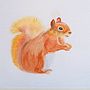 My project for course: Expressive Animal Portraits in Watercolor. Un projet de Illustration traditionnelle, Aquarelle, Dessin réaliste et Illustration naturaliste de Barbara Johnson - 10.05.2023