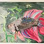 Betta Fish Watercolor. Traditional illustration, Painting, Watercolor Painting, and Naturalistic Illustration project by Alex Harper - 06.04.2023