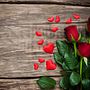 Flowers Larnaca . Bisnis proyek oleh cosmeagardens4 - 06.21.2023