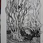 Mi proyecto del curso: Ilustración con tinta y plumilla: captura el mundo natural. Un projet de Esquisse , Dessin, Dessin artistique, Carnet de croquis, Illustration à l'encre et Illustration naturaliste de Maria Yolanda Nuñez Medina - 25.06.2023