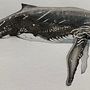 My project for course: Naturalist Illustration Techniques: Whales in Watercolor. Fine Arts, Painting, Watercolor Painting, and Naturalistic Illustration project by Sarah Cowan - 07.13.2023